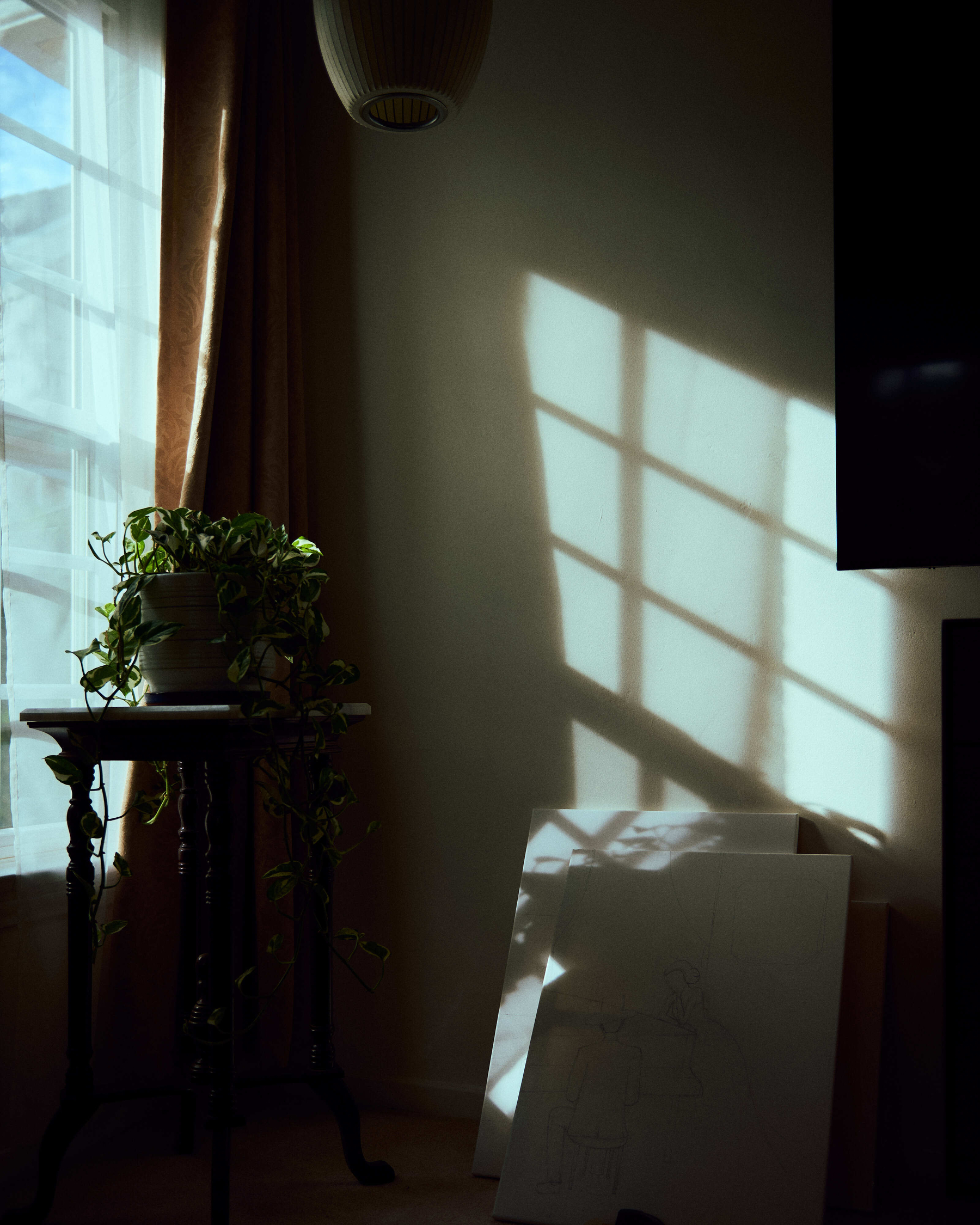 Sunlight casts grid-like shadows from a window onto a wall, next to a small table with a potted plant.
